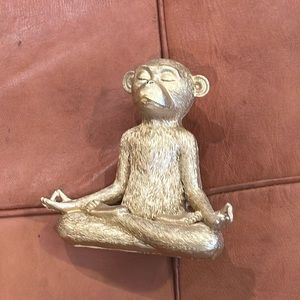 Meditating Monkey